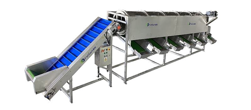 walnut sorting machine.jpg